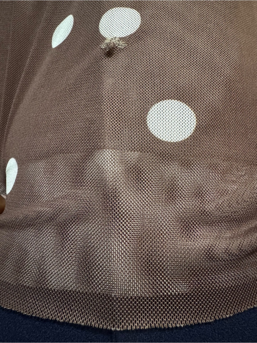 Caroline Constas Sheer Mesh Polka Dot Maxi Dress Gold Hardware (Callout shown) - Picture 8 of 9